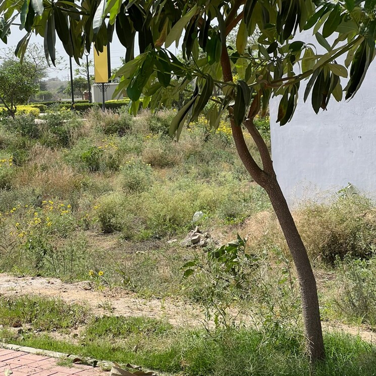 Garden, jms-the-pearl  179 Sq.Yd. Plot In Sector 95a Gurgaon 9240316