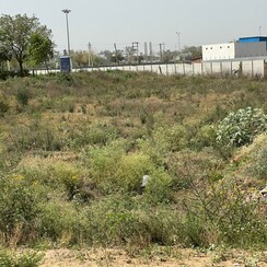 Plot For Sale in JMS The Pearl