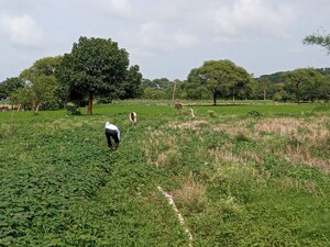 Plot Area in  Land at Ujjain Road – for Sale