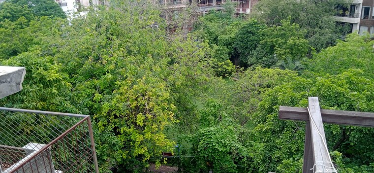 Balcony, defence colony 2.5 Bedroom 217 Sq.Yd. Builder Floor In Defence Colony Delhi 9240673