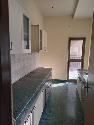 Kitchen in 3 BHK Apartment at Ardee City Palm Grove Heights, Sector 52 – for Rent