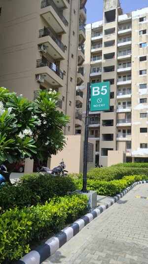 3 BHK Apartment For Rent in Ardee City Palm Grove Heights, Sector 52