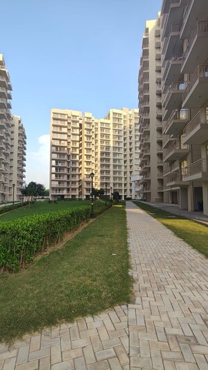 2 BHK Apartment For Rent in Bedarwals Sixty Three Golf Drive, Sector 63