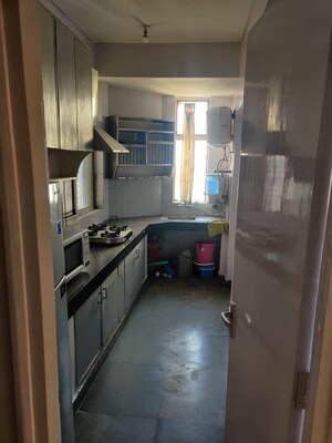 Kitchen in 2 BHK Builder Floor at Dlf Phase ii – for Rent