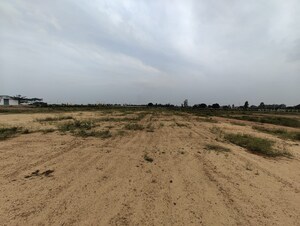 Plot Area in  Plot at High Govind Harivan, Lakhna – for Sale