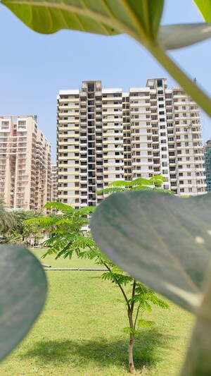 Master Plan in 3 BHK Apartment at Alpine AIGIN Royal, Sector 1 Greater Noida – for Sale