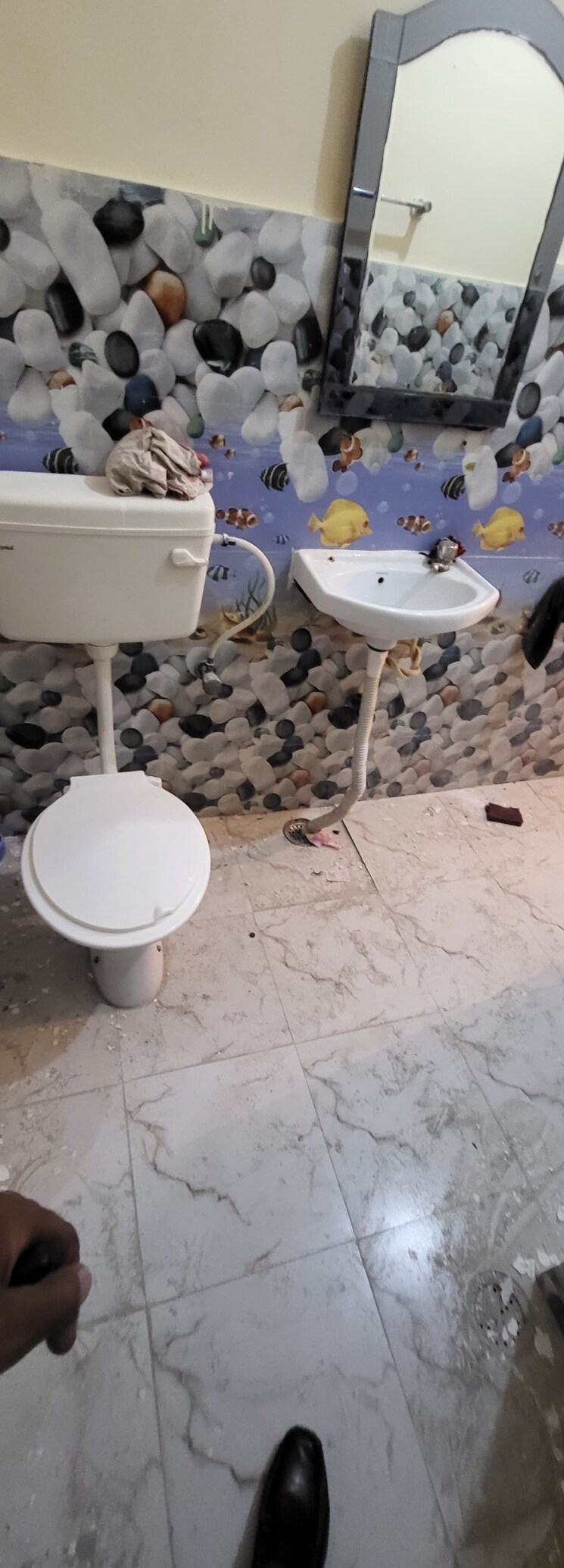 Bathroom, sector 31 2 Bedroom 900 Sq.Ft. Builder Floor In Sector 31 Faridabad 9241433