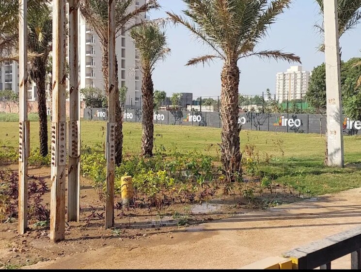 undefined, ireo-savannah  179 Sq.Yd. Plot In Sohna Sector 35 Gurgaon 9240504