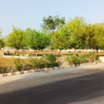 720 Sq.Ft. Plot in Krishna Park