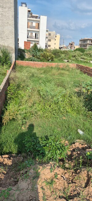  Plot For Sale in Aerocity