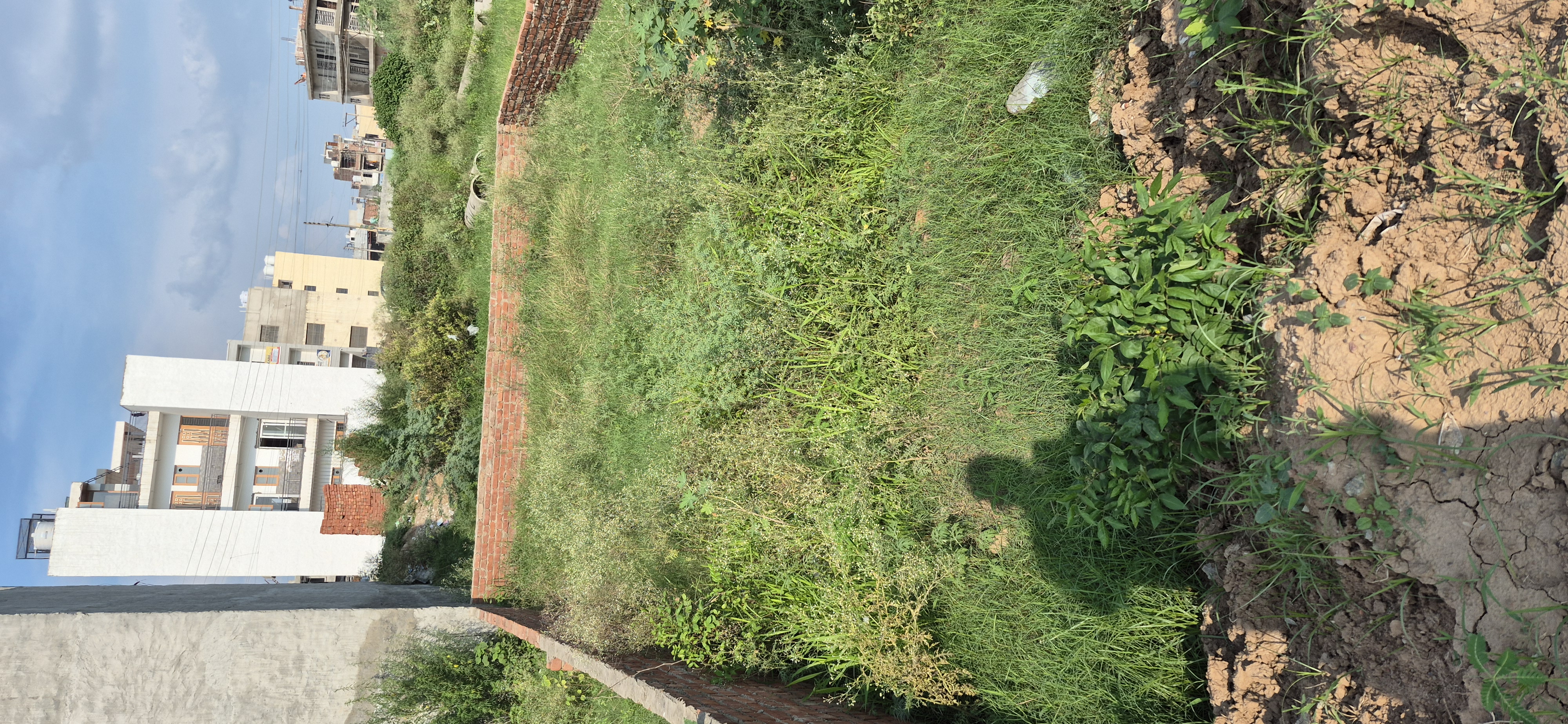 Plot For Sale in Aerocity 