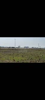 160 Sq.Yd. Plot in Loghut Modeltown