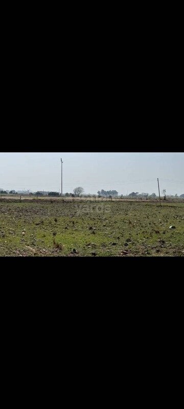  Plot For Sale in Banur