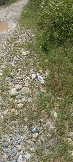 Plot Area in  Plot at Dehradun Cantt – for Sale