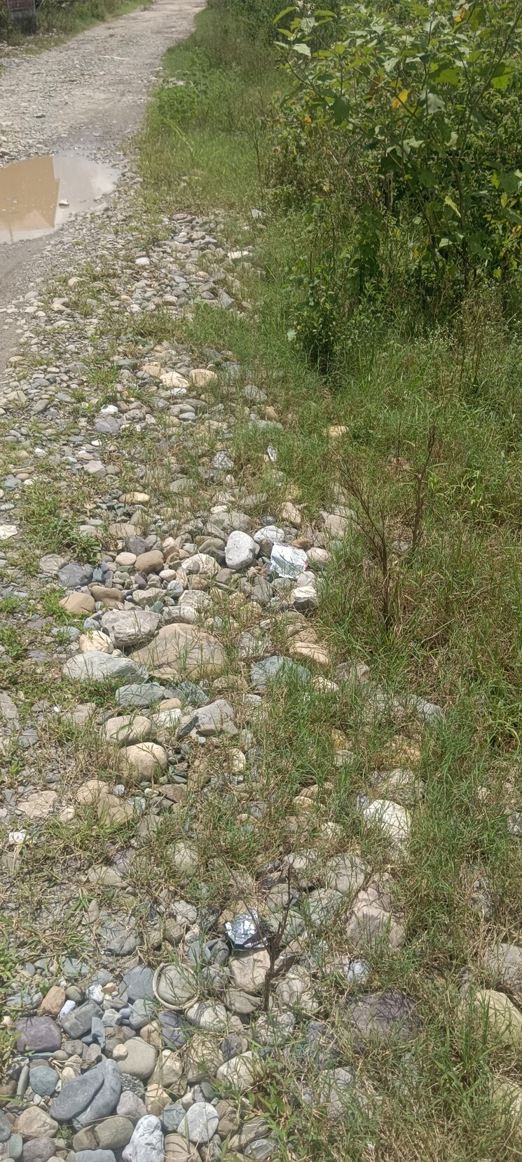 undefined, dehradun cantt  223 Sq.Yd. Plot In Dehradun Cantt Dehradun 9242141