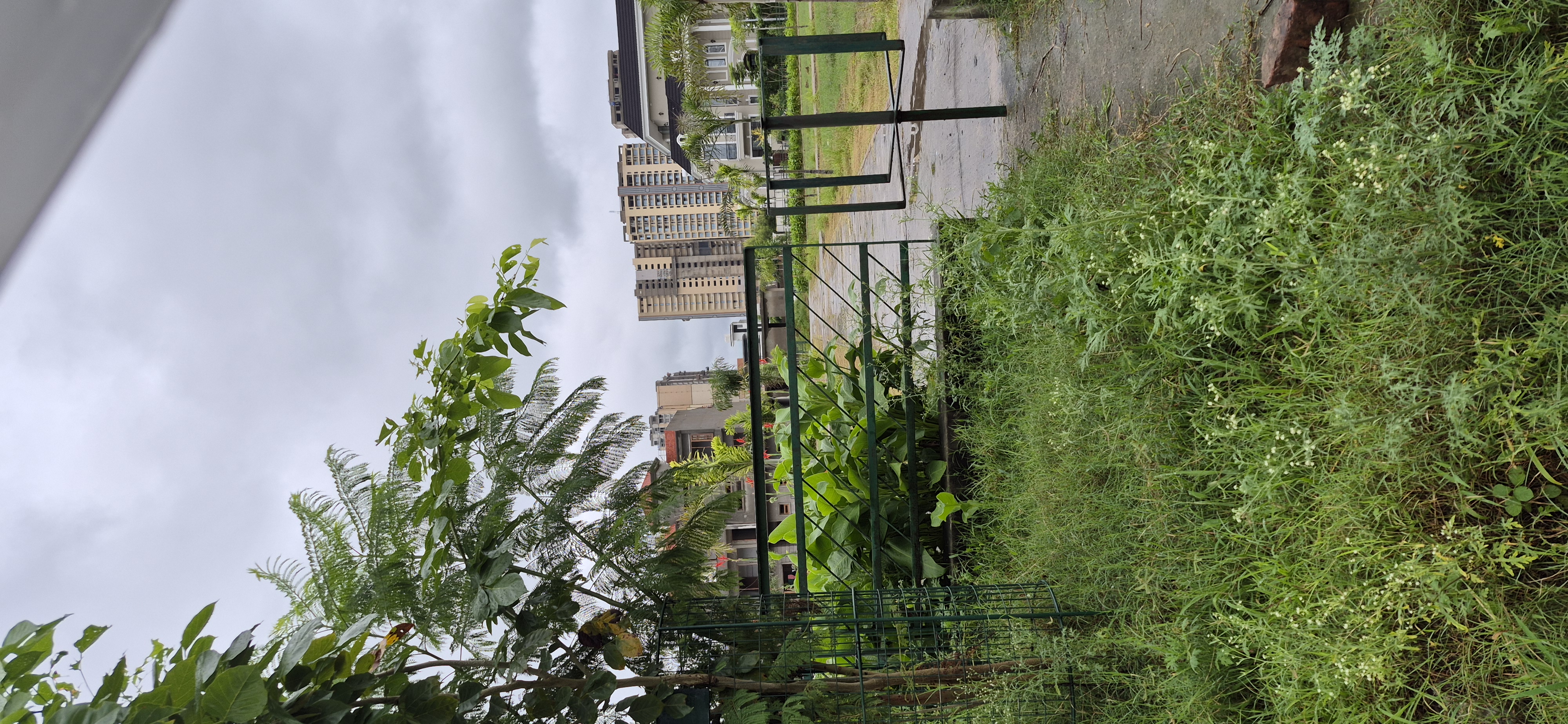 Plot For Sale in Mohali 