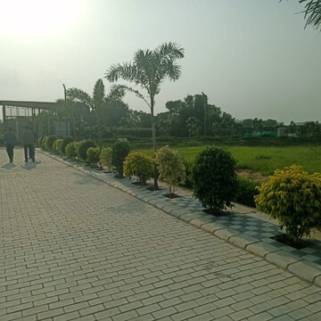 Plot Area in  Plot at Sector 78 – for Sale