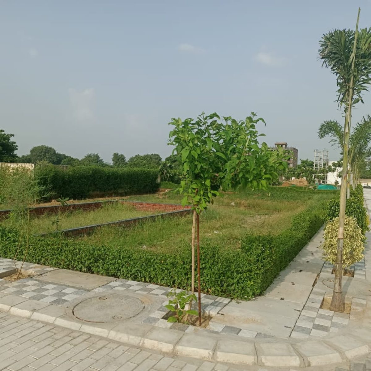 Plot For Sale in Huda Sector 78 Plot