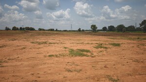 Plot Area in  Plot at Shadnagar – for Sale