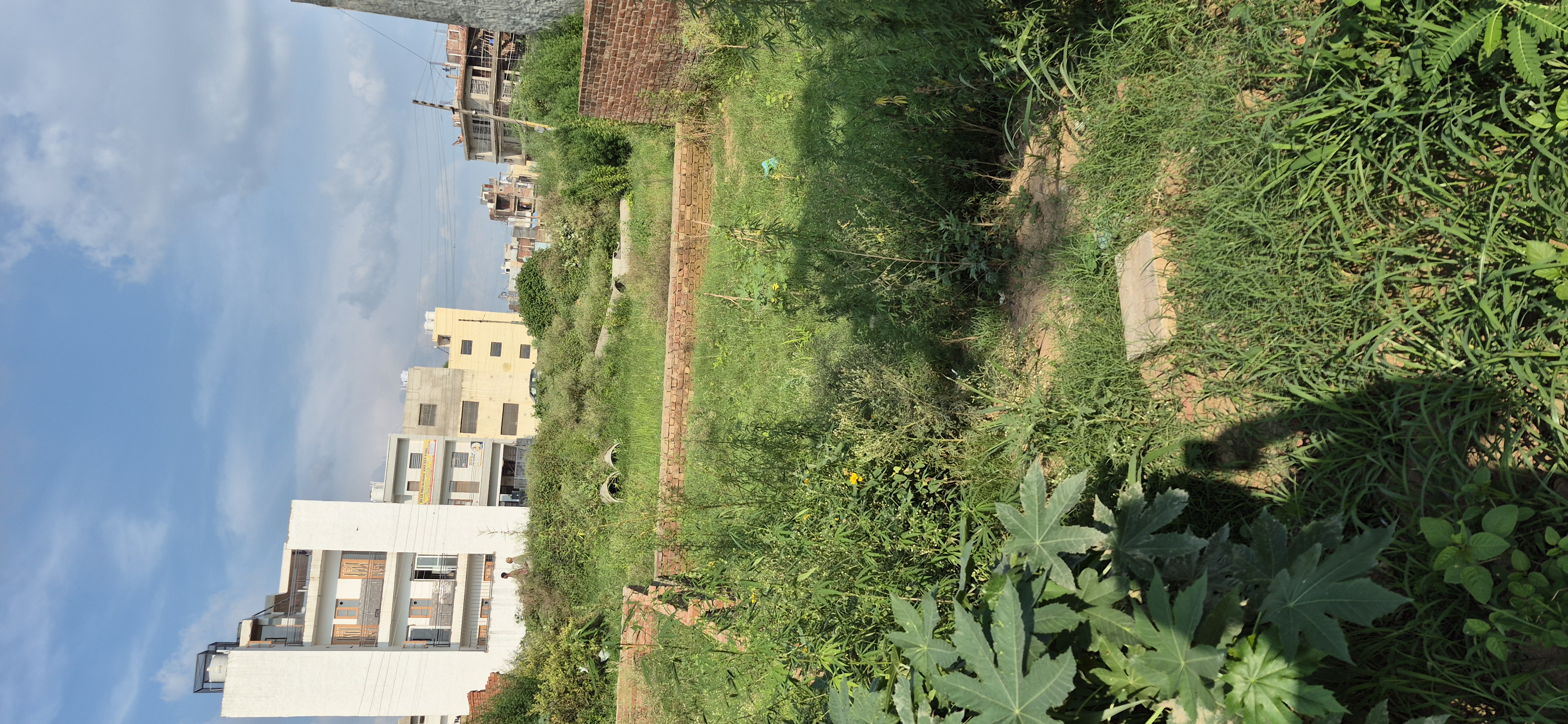 Plot For Sale in Aerocity 