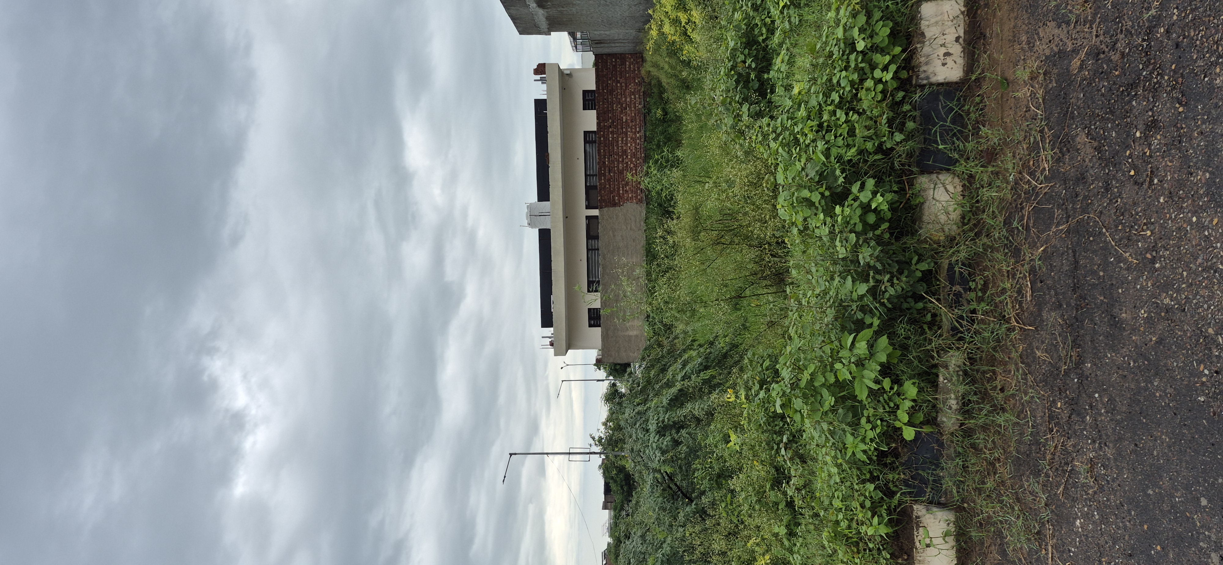 Plot For Sale in Aerocity 