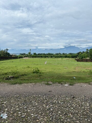 Plot Area in  Plot at Sherpur – for Sale