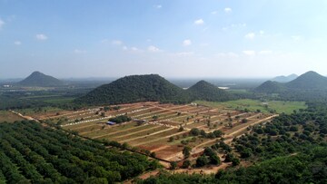  Plot For Sale in Nuzividu