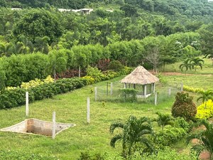  Plot – Garden View at Nuzividu - for Sale