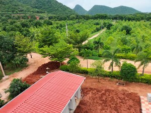 Plot Area in  Plot at Nuzividu – for Sale