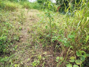 Plot Area in  Plot at Bavdhan – for Sale