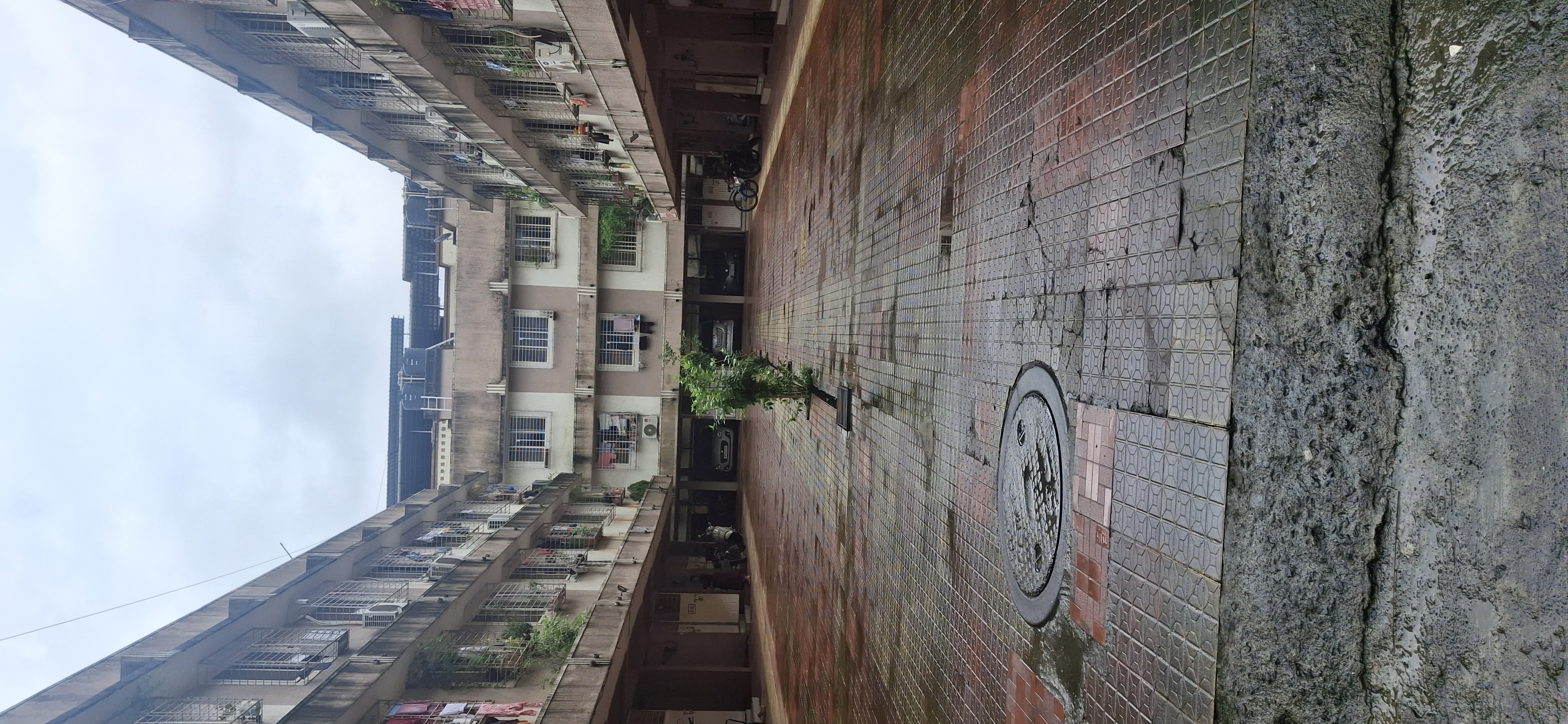 1 BHK Apartment For Rent in Amresh Property Ghansoli 