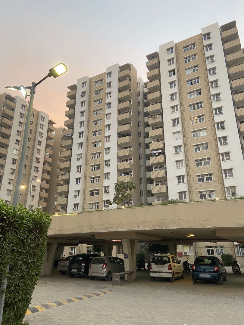 3 BHK Apartment For Sale in Tulip Lemon, Sector 69