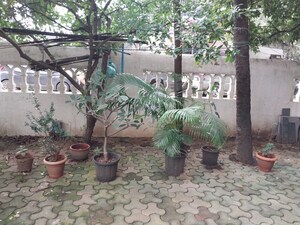 Studio Villa – Exterior View View at Chandrodaya CHS Chembur, Chembur - for Rent