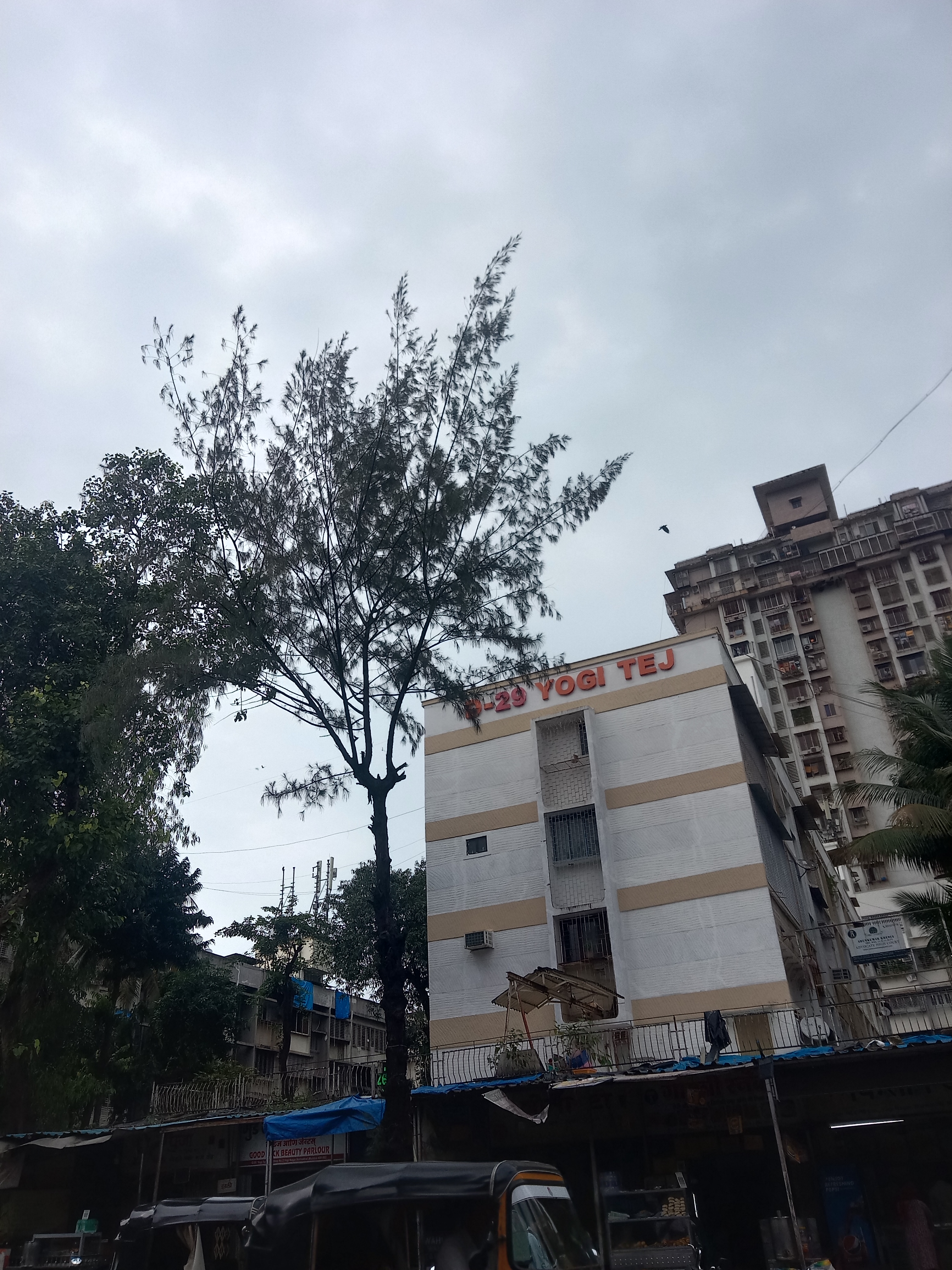 1 BHK Apartment For Rent in Yogi Tower