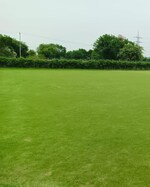 2 BHK + Pooja Room,Extra Room 2420 Sq.Yd. Villa in Dera Mandi