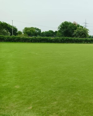 2 BHK Villa For Sale in Dera Mandi