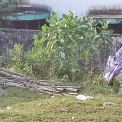 Plot For Sale in Indira Nagar