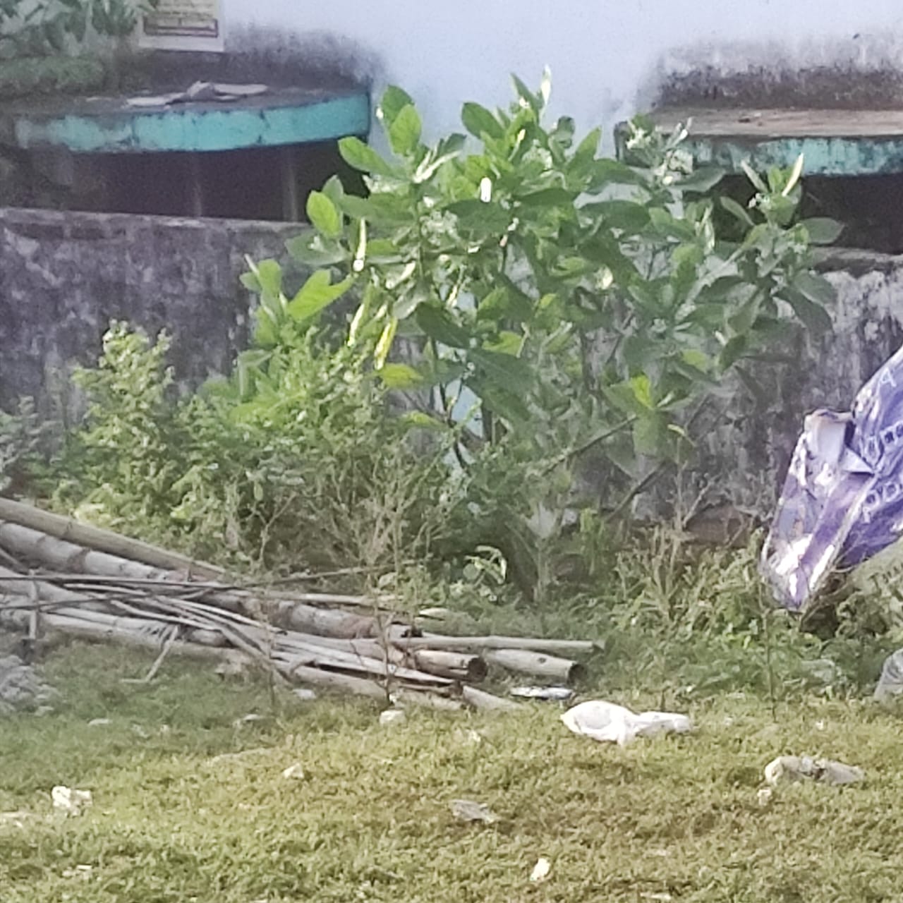 Plot For Sale in Indira Nagar