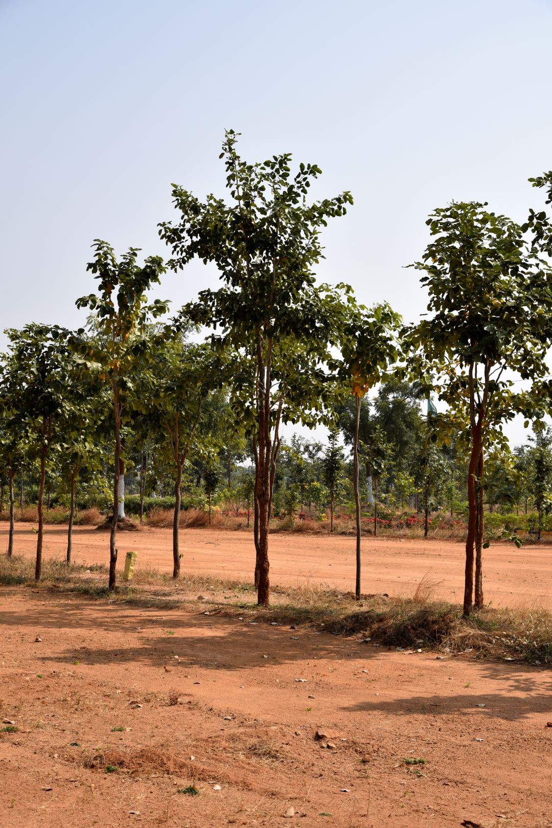 Plot For Sale in JSR Suncity Opal