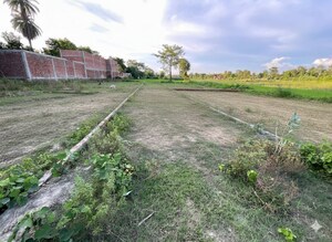 Plot Area in  Plot at Tamakuhi Raj – for Sale