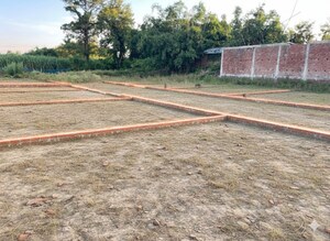 Plot Area in  Plot at Tamakuhi Raj – for Sale