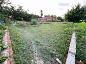  Plot For Sale in Tamakuhi Raj
