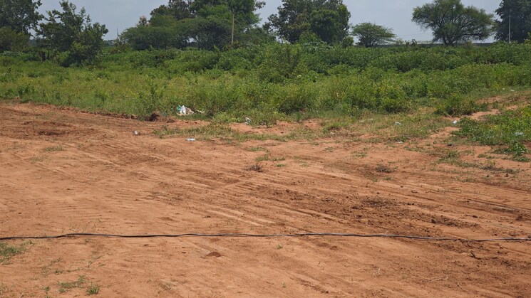 undefined, shadnagar  167 Sq.Yd. Plot In Shadnagar Hyderabad 9244247