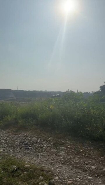 Plot Area in  Plot at Sherpur – for Sale