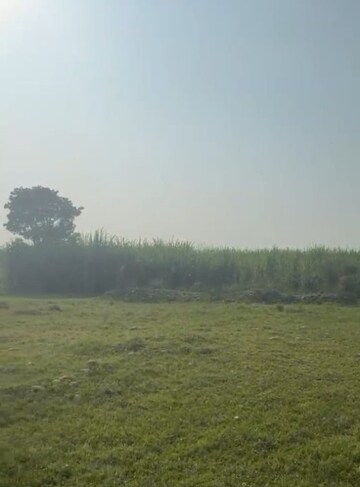 Plot Area in  Plot at Sherpur – for Sale