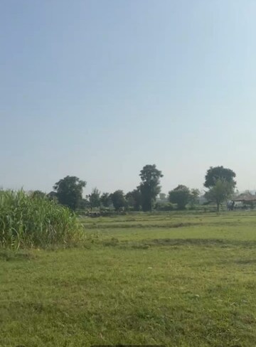 Plot Area in  Plot at Sherpur – for Sale