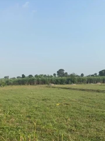 Plot For Sale in Sherpur