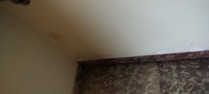 Room in 6+ BHK Independent House at RWA Apartments Sector 52, Sector 52 – for Rent