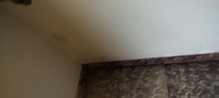 Room, rwa-apartments-sector-52 6+ Bedroom 450 Sq.Mt. Independent House In Sector 52 Noida 9244676