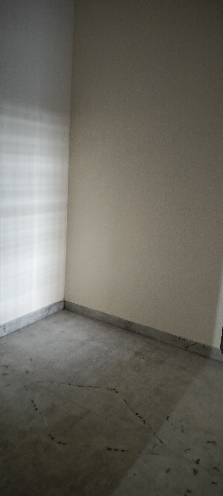 Room, rwa-apartments-sector-50 3 Bedroom 162 Sq.Mt. Independent House In Sector 50 Noida 9244691